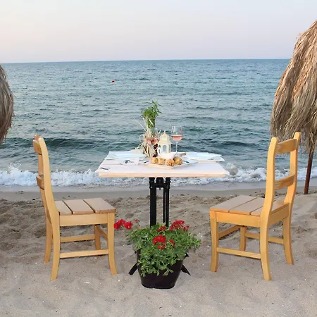 公寓式酒店 奥林奇别墅公寓式酒店 4*