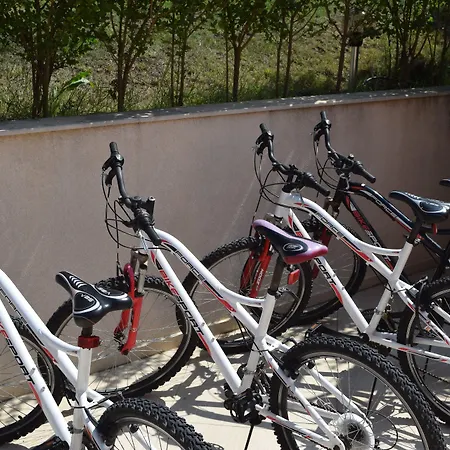 奥林奇别墅公寓式酒店 公寓式酒店